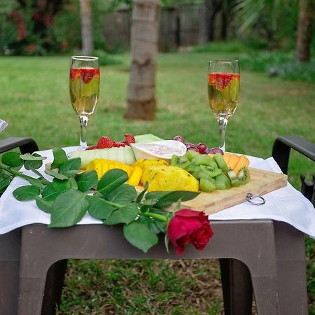 Three Oaks And An Aloe Boutique Hotel هارتبيسبورت المظهر الخارجي الصورة